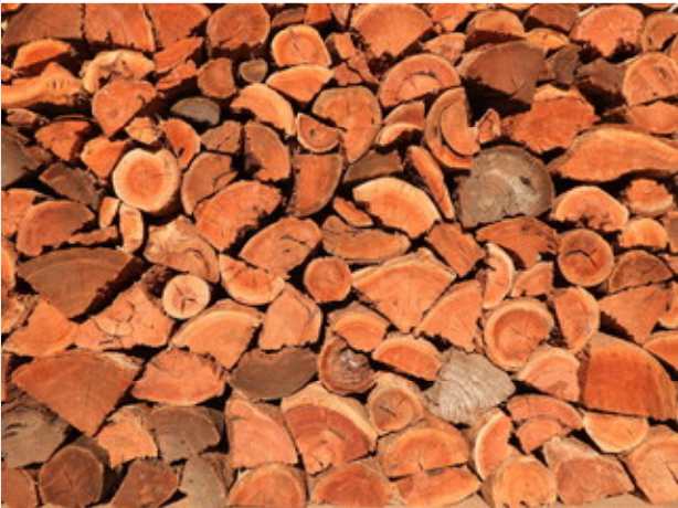 Redgum Firewood for Sale, What Makes It Ideal for Firewood