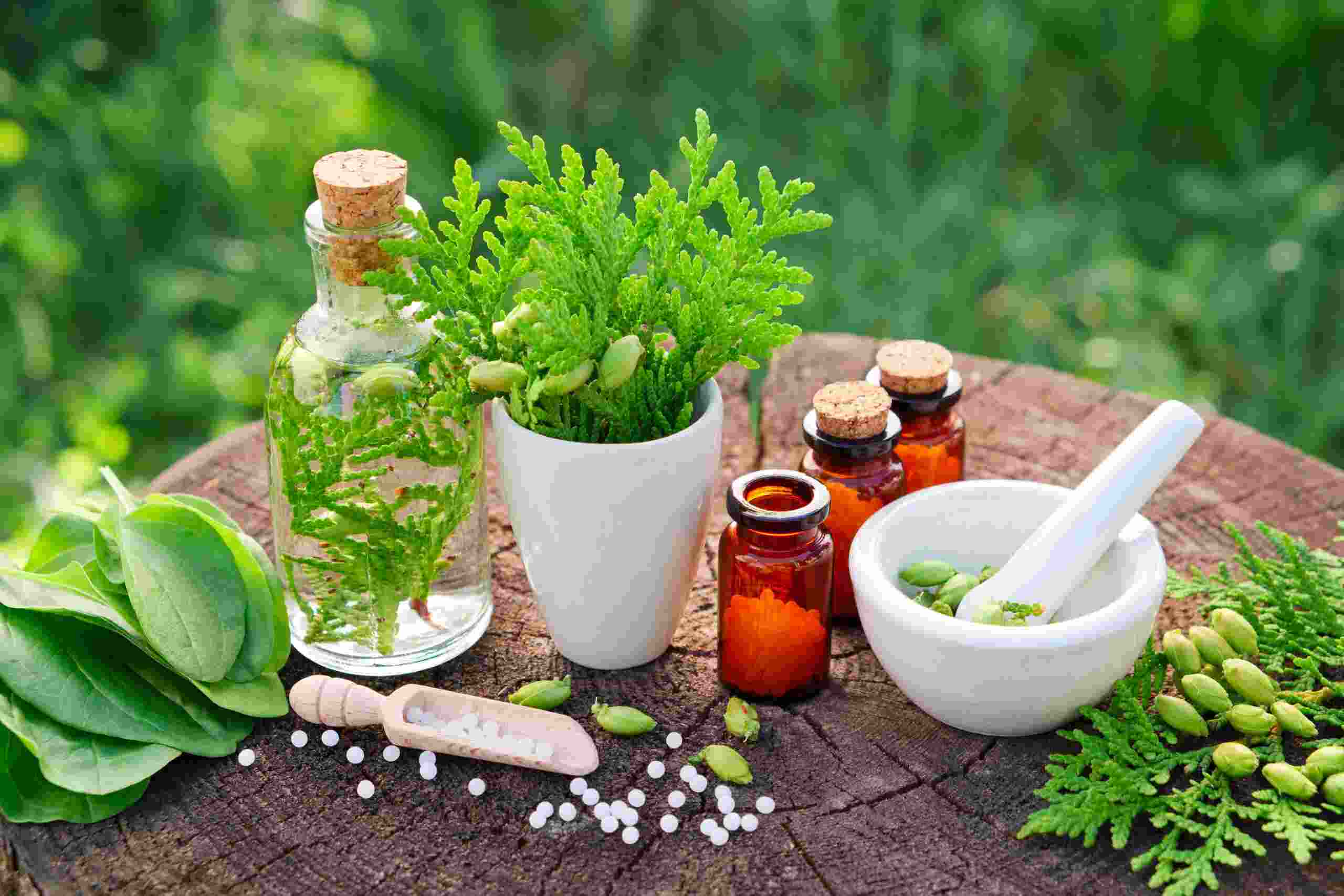 What Flowers Are Utilized For Making Herbal Medicine