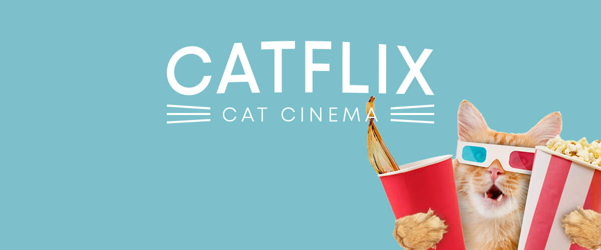 Catflix Website English {march 2022}