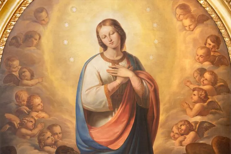 Immaculate Definition -What Does It Mean, And History of Immaculate Conception Church
