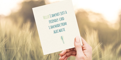 Environment-Friendly Greeting Cards | A Step Towards Sustainability