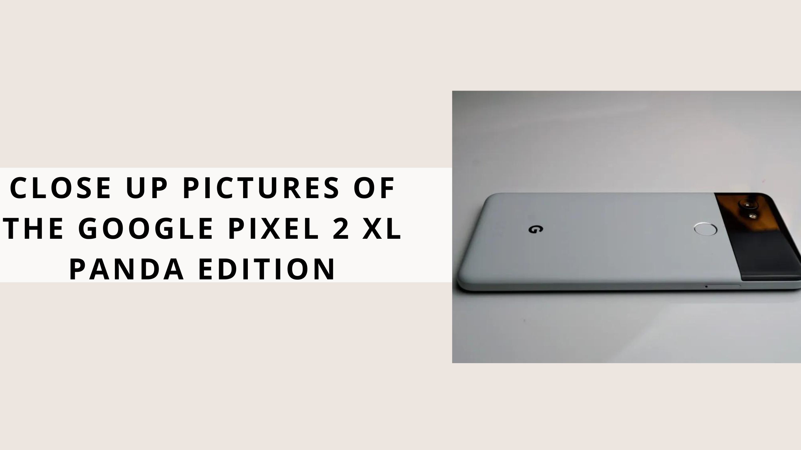pixel 2 xl panda