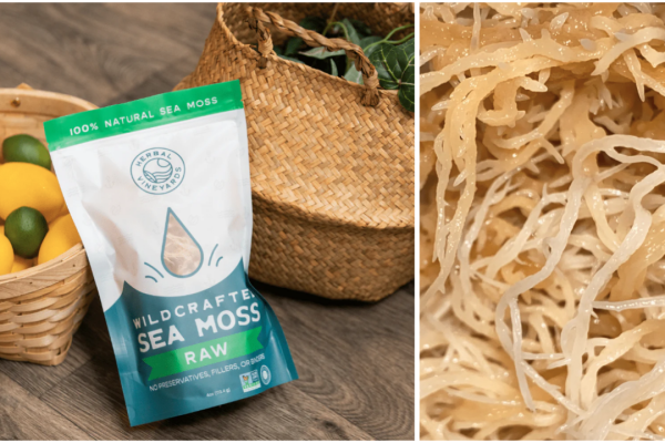 How to Find Real Organic Raw Sea Moss: Avoiding Marketing Tricks