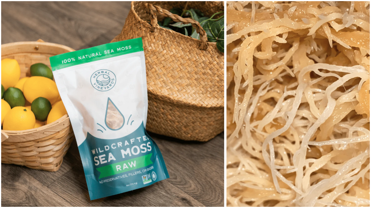 How to Find Real Organic Raw Sea Moss: Avoiding Marketing Tricks