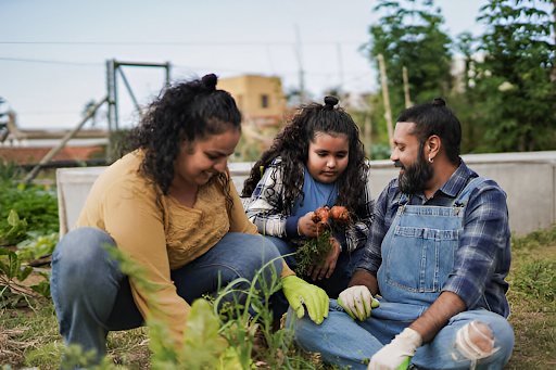 How Buying Plants Online is Revolutionizing Urban Gardening in Bangalore